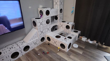 Discover the Versatility of Our Cardboard Cat Castle