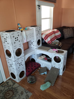 Why the Vybe Cat Castles are Purrrfect for Your Feline!
