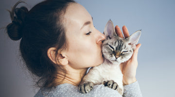 The Fascinating Bond Between Cats and Humans