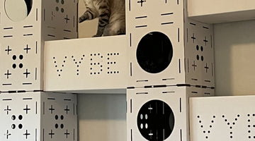 Introducing the Ultimate Cat Castle: Customizable, Durable, and Fun!