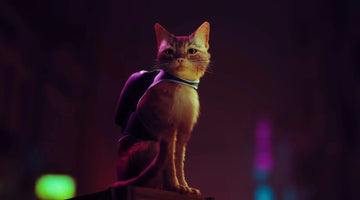 Stray - The Video Game for Cat Lovers