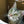 Load image into Gallery viewer, Feline Fortress
